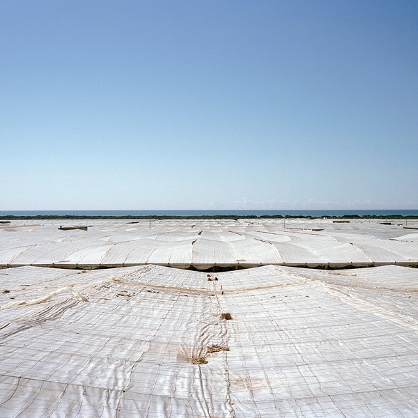 http://www.reinaldoloureiro.com/files/gimgs/7_page-9.jpg